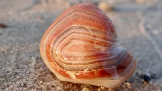 Lake Superior Agate Hunting in the Eastern U.P.