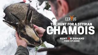 The Hunt For A Styrian Chamois | HOD Free Episode