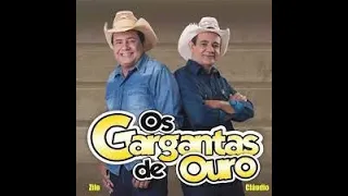 Os Garganta de Ouro Vol  12