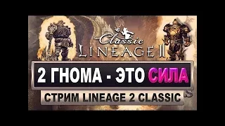 Lineage 2 Classic Lilith ПОДПИСЫВАЕМСЯ НЕ СТЕСНЯЕМСЯ У МЕНЯ ТУТ ЛАМПОВО ЧАТ ЧИТАЮ )