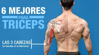 Los 6 MEJORES Ejercicios para TRICEPS ¡Basado en la Anatomía!