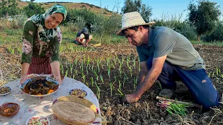 زراعة البصل و إعداد وجبة لحم الخروف مع البرقوق المجفف