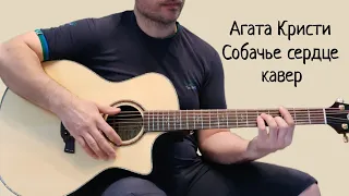 Агата Кристи. Собачье сердце. (кавер)