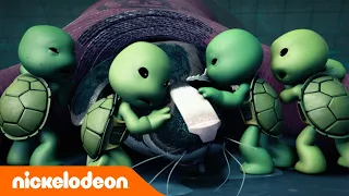 TMNT| Teenage Mutant Ninja Turtles als baby's! | Nickelodeon Nederlands