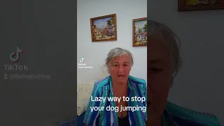 Lazy way to stop jumping dogs