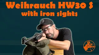 Weihrauch HW30 S with iron sights