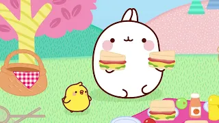 Molang - Easter Eggs Madness |  More @Molang ⬇️ ⬇️ ⬇️