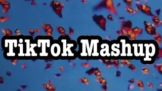 JUNE 2020 TIKTOK MASHUP! 🌟NOT CLEAN🌟