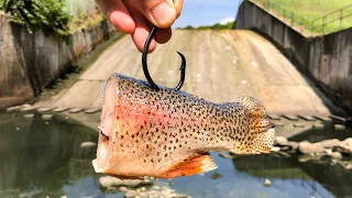 The MOST DISTURBING Thing I've EVER SEEN Below a SPILLWAY!!! (INSANE!)