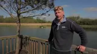 Paul Tallowin on The Raft at Chigborough - Sawday's Canopy & Stars | Glamping holidays in