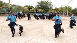 42 peritos de la DOEP se gradúan en el XIV Curso de Unidades Cinófilas