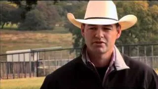 Clay Tryan Tip-Buying A Horse.mov