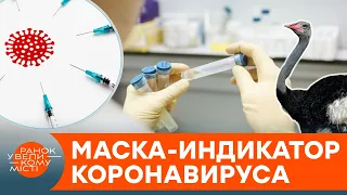 Из страусиных яиц. Ученые разработали маски, которые светятся при контакте с коронавирусом — ICTV