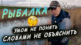 Необъяснимые факты и наблюдения в рыбалке