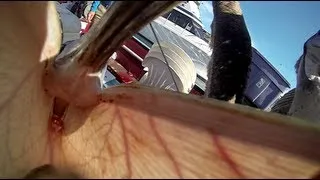 Pelican Wants To Eat My GoPro Hero3 - Director's Cut