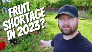 Will This Cause A Fruit Shortage In 2023??? | The Importance Of Chill Hours For Fruit Trees