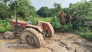 Tractor in Mudd .Fiat 640 vs Belarus tractor. Part 2  ( Gondal Tv )