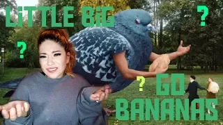 Mexican's First Reaction To Little Big - Go Bananas