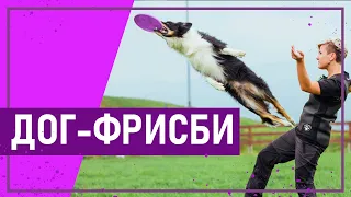 Вот это спорт! ДОГ-ФРИСБИ