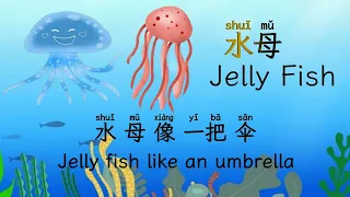 Learn chinese for kids - sea animals (2)