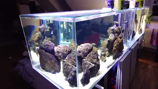 Aquariums 550L full autonomes après 3 semaines de vacances