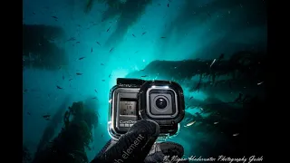 GoPro Hero 8 Underwater: Scuba Diving Catalina