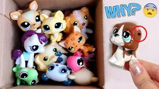 Unboxing LPS: They Sent Me A Broken Pet?!