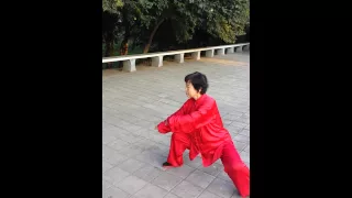 kung fu tbx - chen style tai chi form 56