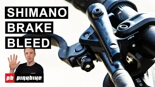 How To Bleed Shimano Brakes | PB Tech Tuesdays