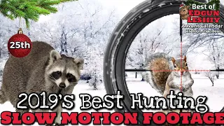 Day 25: The Best Slow Motion Hunting Footage (Tracer Pellets!) - EDgun Leshiy