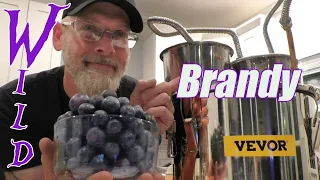 🍇Wild Muscadine Grape Brandy + VEVOR Pot Still REVIEW!