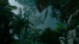 Video Game Ambience Asmr - (TOMB RAIDER) Moonlit Jungle Canopy | Relaxing Nature Sounds