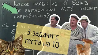 Три простых задачи на IQ, которые ставят в тупик школьников и их родителей