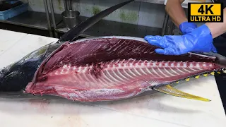 一日に捌くマグロは２００本！？凄腕仲買人によるキハダマグロの解体