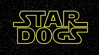 STAR WARS em CACHORRÊS