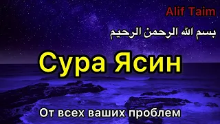 🔥👍✅ Cура Ясин Красивый Коран слушать. СПОКОЙСТВИЕ НА ВСЮ НОЧЬ И ЛЕГКОСТЬ С УТРА. #NURISLAM05 #