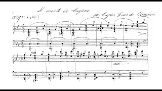 Lydia Dias do Amaral - A morte do cisne (Durval Cesetti, piano)