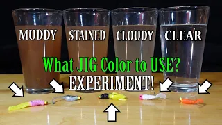 What is the Best Jig Color? Best Lure Color for Water! Muddy to Clear Water Experiment!