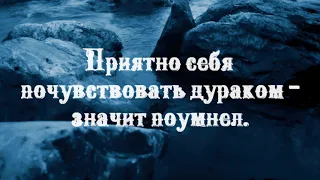 Подлость умирает последней.