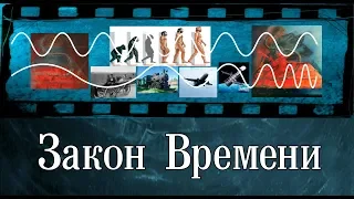 №2 Закон времени Смена логики социального поведения ВЫРЕЗКА (Закон времени КОБ + ДОТУ + КПЕ)