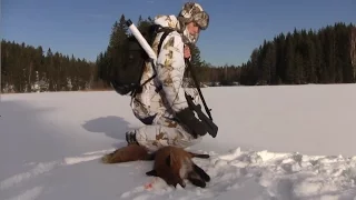 Revejakt Del 3, Fox hunt, predator calling, rävjakt, Lokkejakt på rev ( English subtitle )