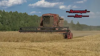 Зерноуборочный комбайн Лида-1300! Урожай зерновых 2021!