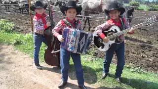 "Que sube y que baja" Los Bañales Juniors DESDE EL RANCHO