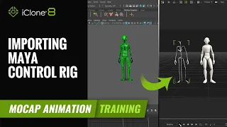 How to Import and Apply Maya Control Rigs to your Characters | Mocap Animation Course | iClone 8