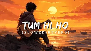 Ham Tere Bin Aab Reh Nahi Sakte | Arjit Singh | Tum Hi Ho | (Slowed+Reverb) Lofi Song | Aashiqui 2