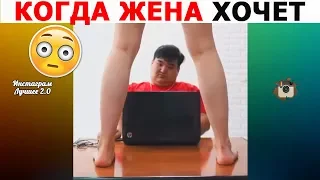 ЛУЧШИЕ ИНСТА ВАЙНЫ 2019 | Ника Вайпер, TerriTima, Платон Горохов, jokeasses, Жека Фатбелли