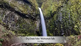 Hiking Dry creek falls/ Hiking Multnomah Falls Oregon/ Washington border.