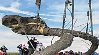 Farmer Calls the Police After Digging out Something Weird