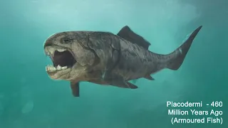 Evolution (Bacteria - Fish - Human) Morphing video. Trippy video of animals morphing.