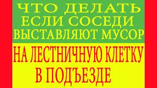 Что делать если соседи выставляют мусор на лестничной клетке в подъезде